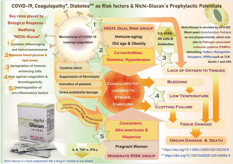 AFO-202分泌的Nichi-Glucan的顯著特徵是透過血糖、膽固醇、凝血系統的平衡，有可能預防Covid-19相關併發症。（圖片：美國商業資訊）