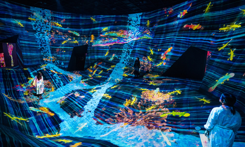 teamLab，倒置地球自然涂鸦——红色名单，供图：teamLab SuperNature, Macao (c) teamLab