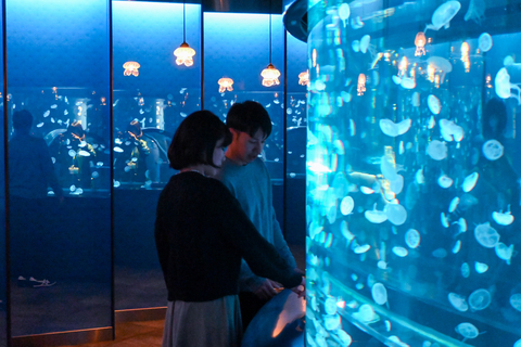 The jellyfish area increasingly popular as a healing space for a date. (Photo: Business Wire)