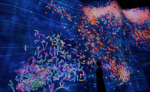 teamLab，毛毛虫之家的蝴蝶翩翩起舞 (c) teamLab - “毛毛虫之家的快速旋转弹跳球”中诞生的毛毛虫蜕变成蝴蝶，并聚集成群。当游客触碰蝴蝶时，它们便四散而亡。