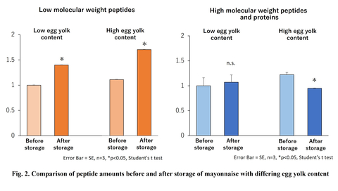 Fig. 2: Molecular weight distribution was measured using gel filtration chromatography (low molecular weight peptides: 1000 Da or lower; high molecular weight peptides: 1000 Da or higher). The graph above shows a relative comparison of the gel filtration chromatography response values compared with low egg yolk mayonnaise before storage set at 1.0. (Graphic: Business Wire)